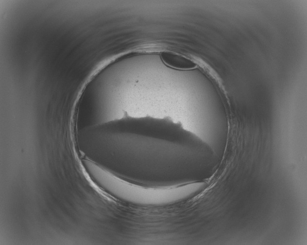 X0000082691429200702161712