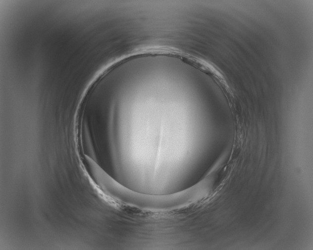 X0000082691430200702161712