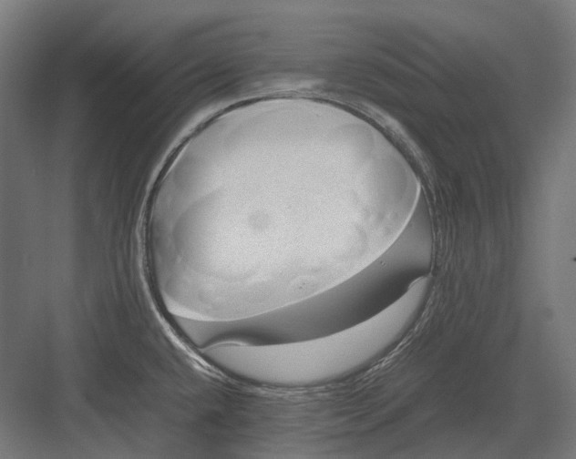 X0000082691432200702161712