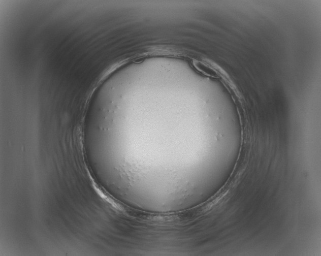 X0000082691433200702161712