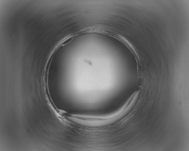 X0000082691434200702161712