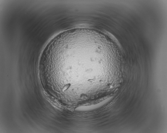 X0000082691435200702161712