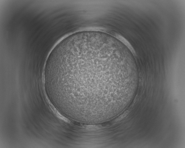 X0000082691436200702161712