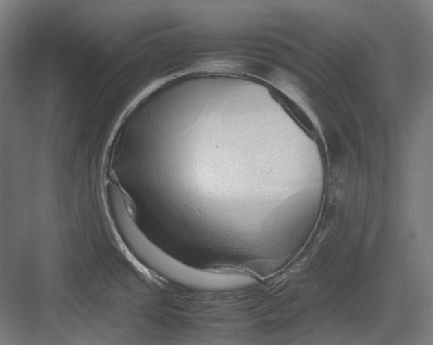 X0000082691437200702161712