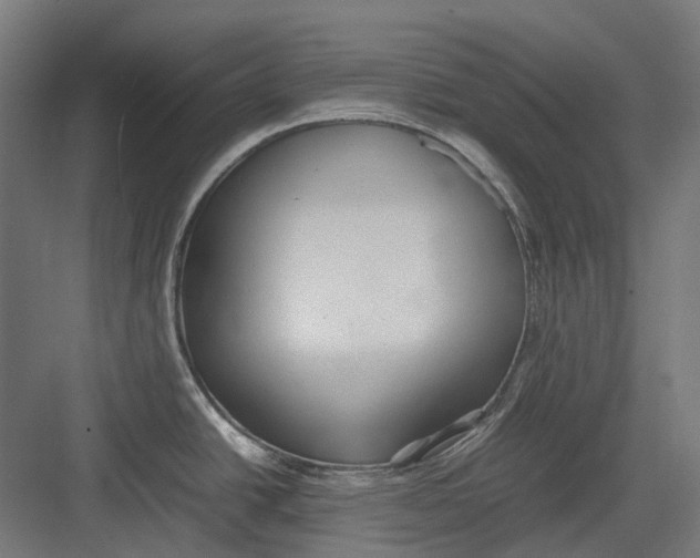 X0000082691438200702161713