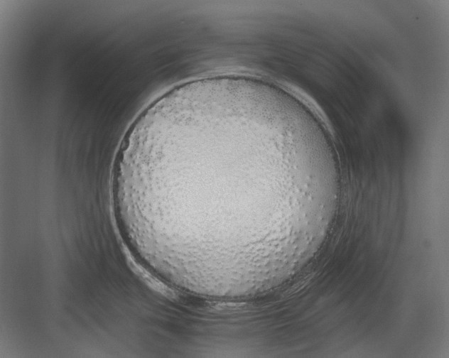 X0000082691439200702161713