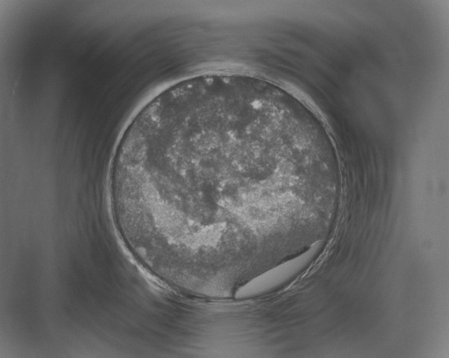 X0000082691440200702161713