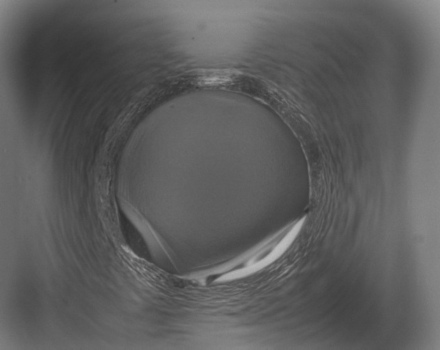 X0000082691441200702161712