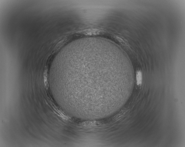 X0000082691444200702161712