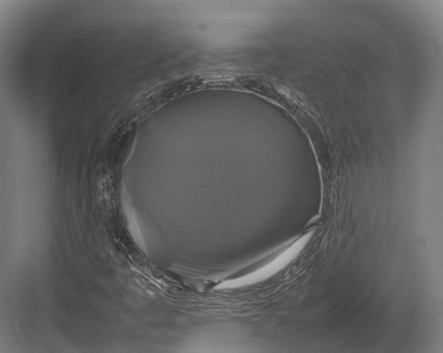 X0000082691445200702161712