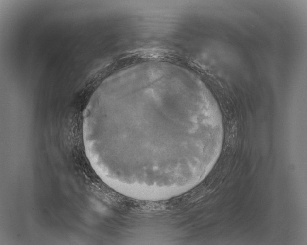 X0000082691446200702161712