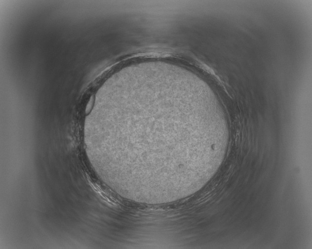 X0000082691448200702161712