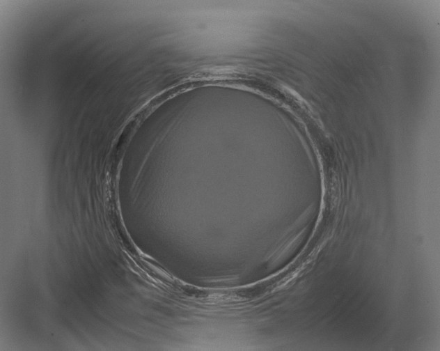 X0000082691449200702161712