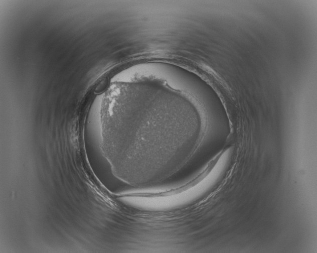 X0000082691450200702161712