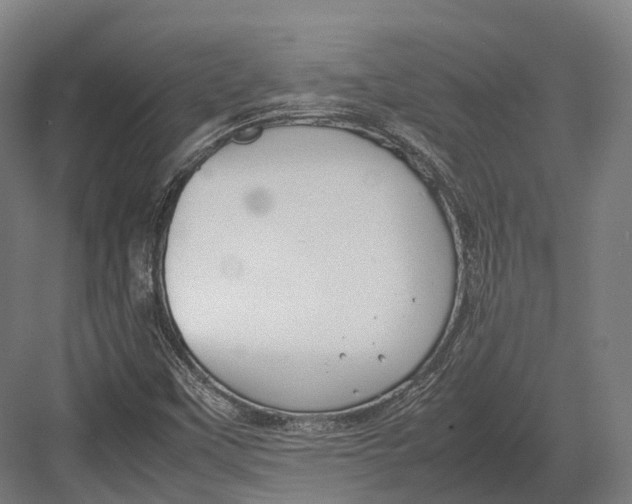 X0000082691451200702161712