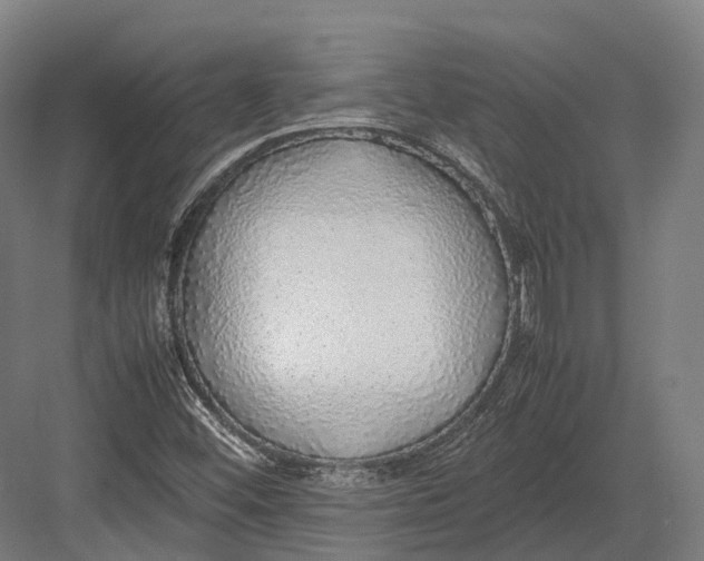 X0000082691452200702161712