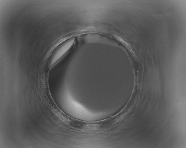 X0000082691453200702161712