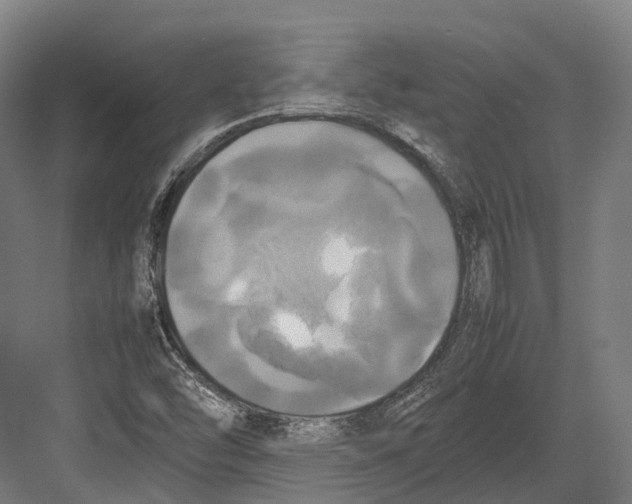 X0000082691454200702161712