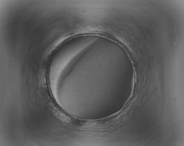 X0000082691455200702161712