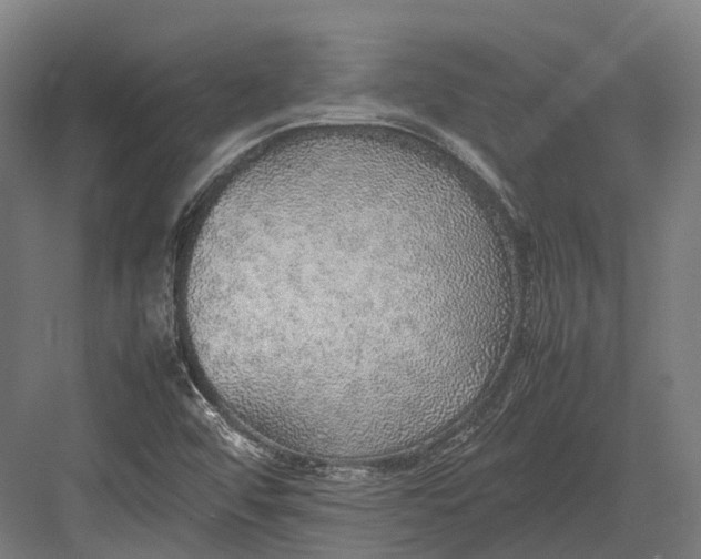 X0000082691456200702161711