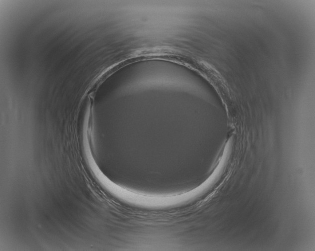 X0000082691457200702161711