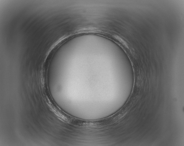 X0000082691458200702161711