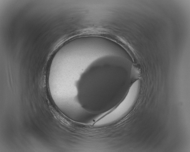 X0000082691459200702161711