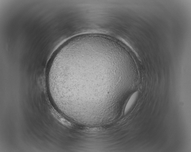 X0000082691460200702161711