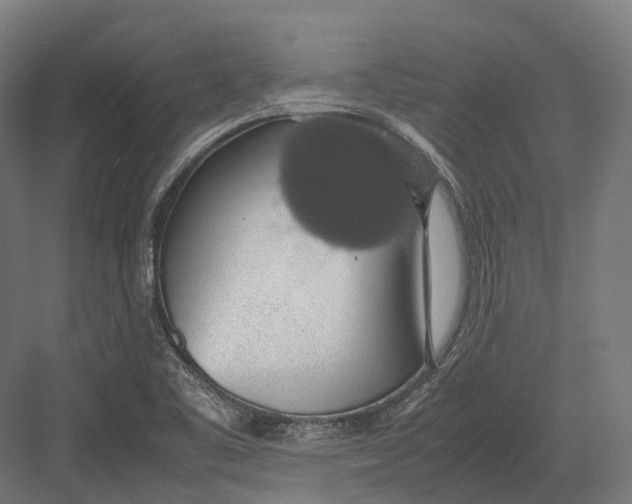 X0000082691461200702161711