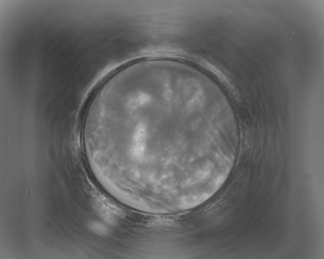 X0000082691462200702161711