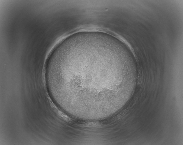 X0000082691464200702161711