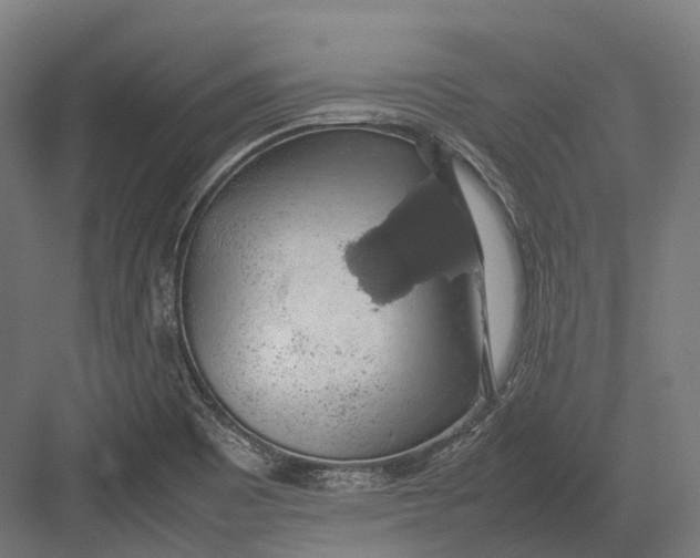 X0000082691465200702161711