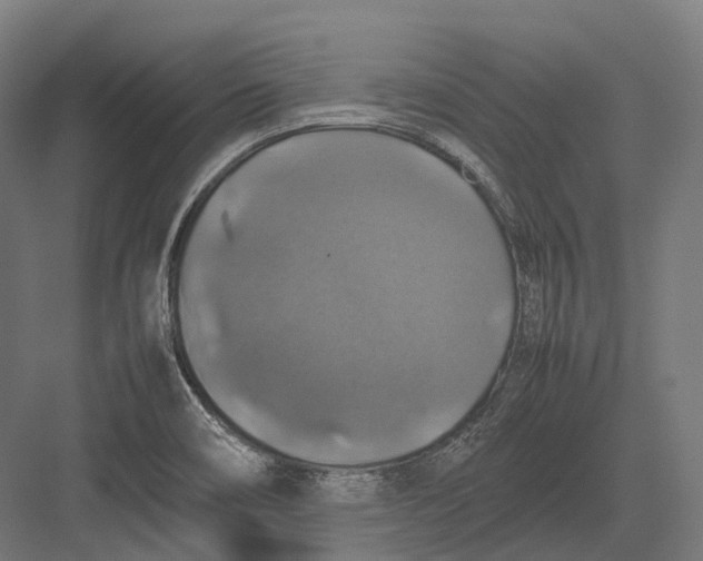 X0000082691466200702161711