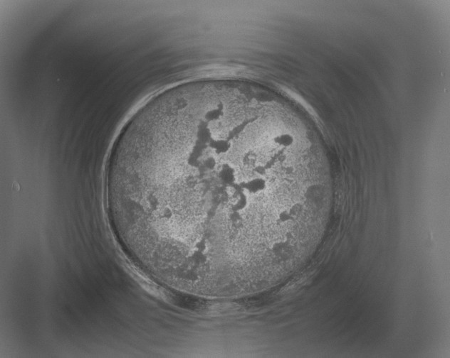 X0000082691467200702161711