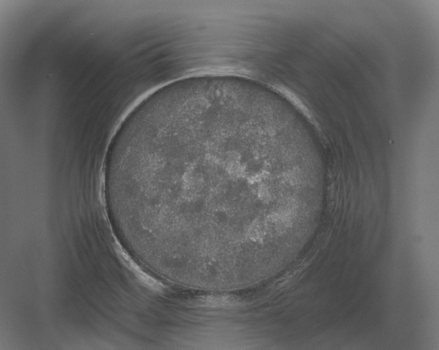 X0000082691468200702161711