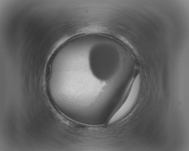 X0000082691469200702161711