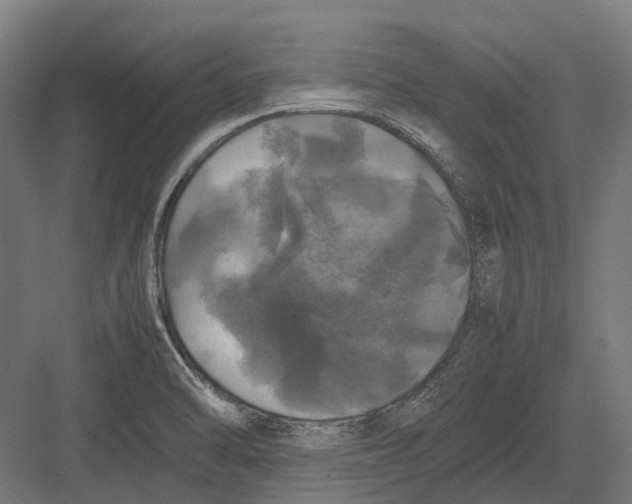 X0000082691470200702161711