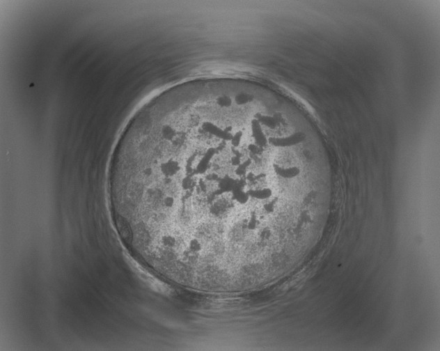 X0000082691471200702161711