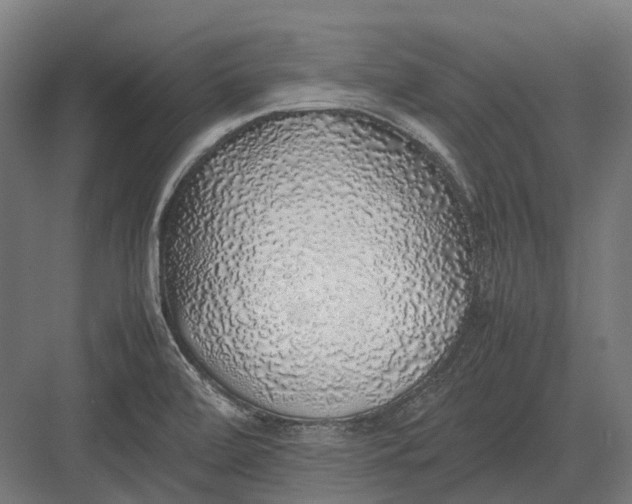 X0000082691472200702161711