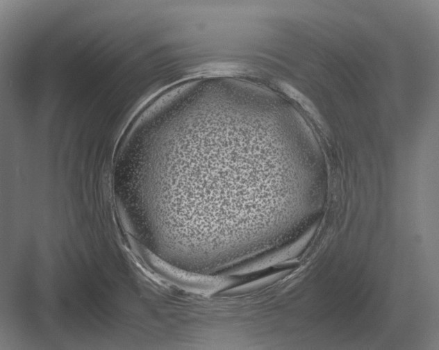 X0000082691473200702161711