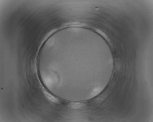 X0000082691474200702161711