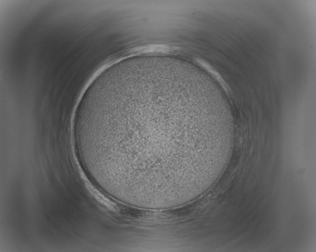 X0000082691475200702161711