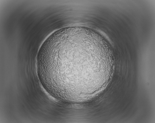 X0000082691476200702161711