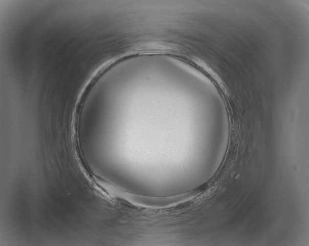 X0000082691477200702161711