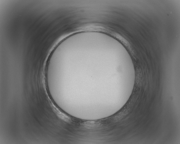 X0000082691478200702161711