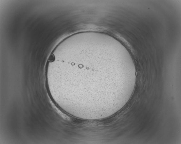 X0000082691479200702161711