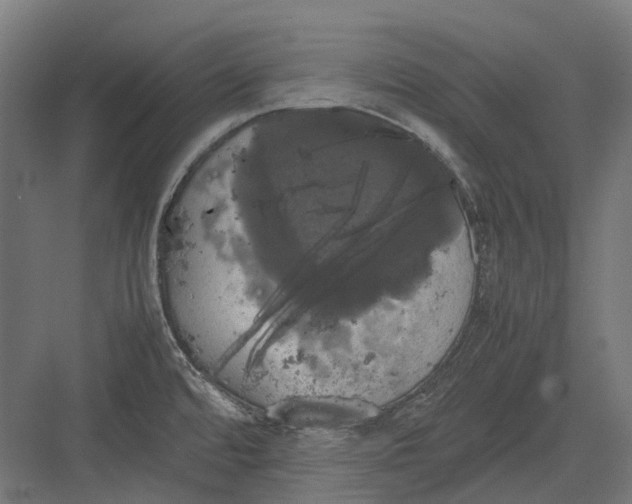 X0000082691480200702161711