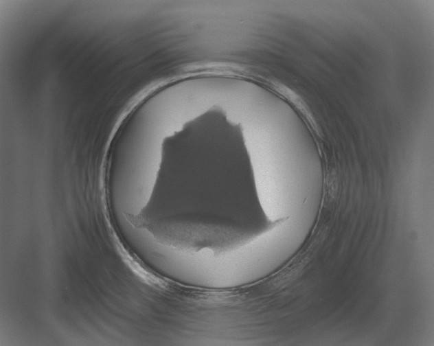 X0000082691482200702161711