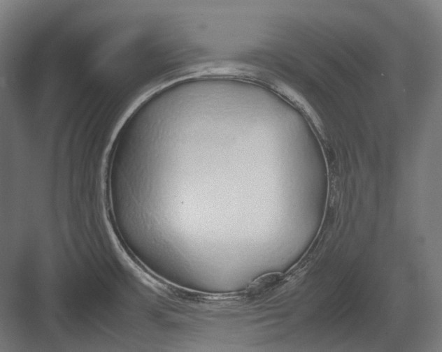 X0000082691483200702161711