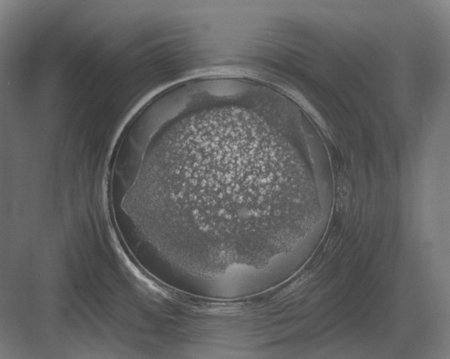 X0000082691484200702161711